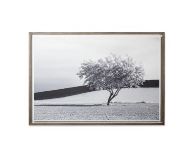 Infra-Red Tree